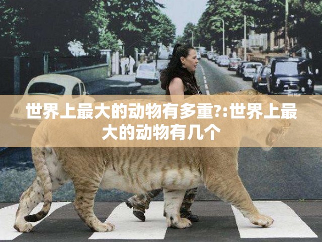 世界上最大的动物有多重?:世界上最大的动物有几个