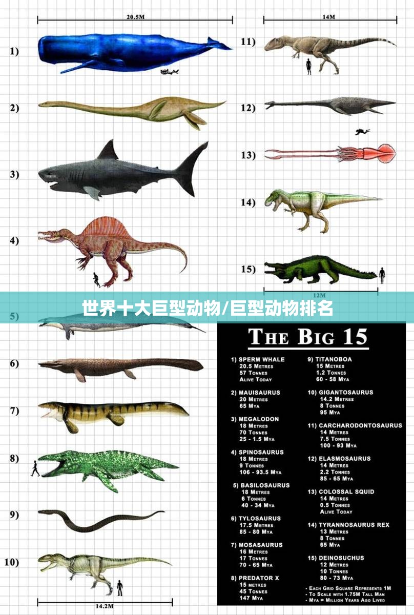 世界十大巨型动物/巨型动物排名