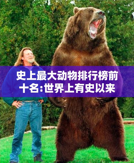 史上最大动物排行榜前十名:世界上有史以来最大的动物前十