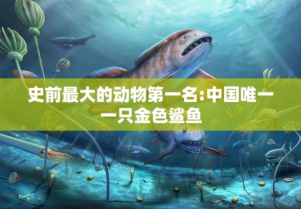 史前最大的动物第一名:中国唯一一只金色鲨鱼