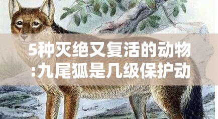 5种灭绝又复活的动物:九尾狐是几级保护动物