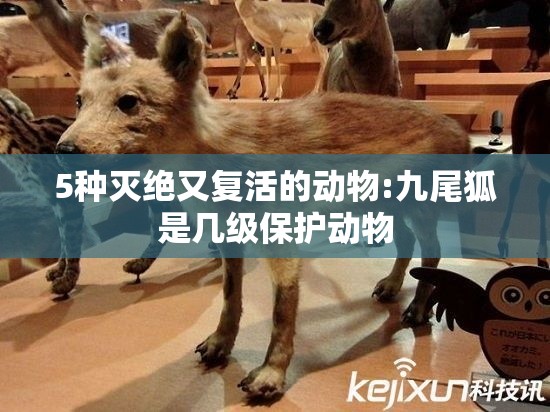 5种灭绝又复活的动物:九尾狐是几级保护动物