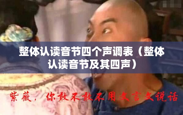 整体认读音节四个声调表（整体认读音节及其四声）