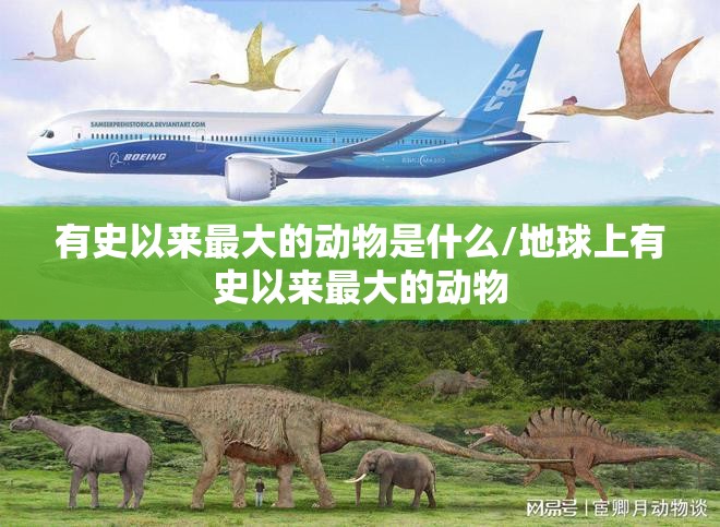 有史以来最大的动物是什么/地球上有史以来最大的动物