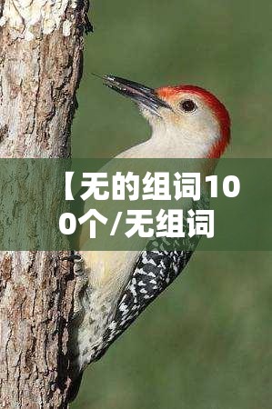 【无的组词100个/无组词100个词语】