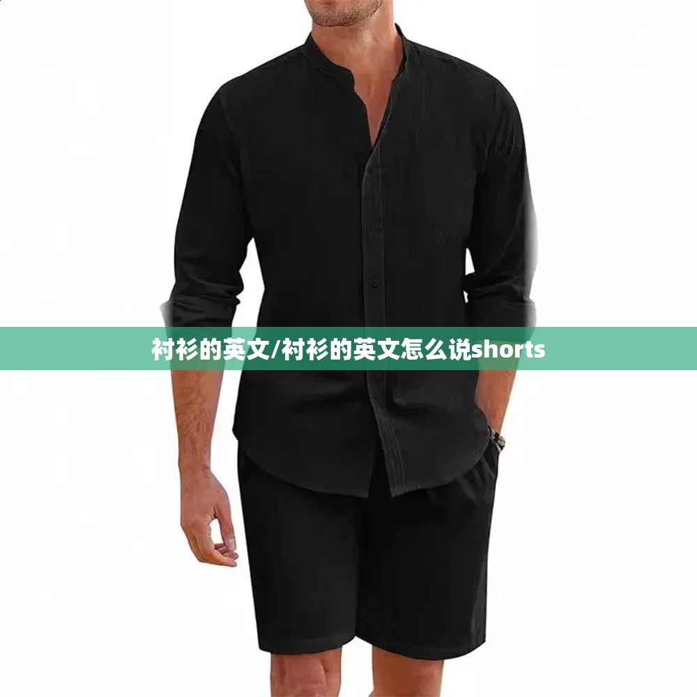 衬衫的英文/衬衫的英文怎么说shorts