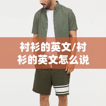 衬衫的英文/衬衫的英文怎么说shorts