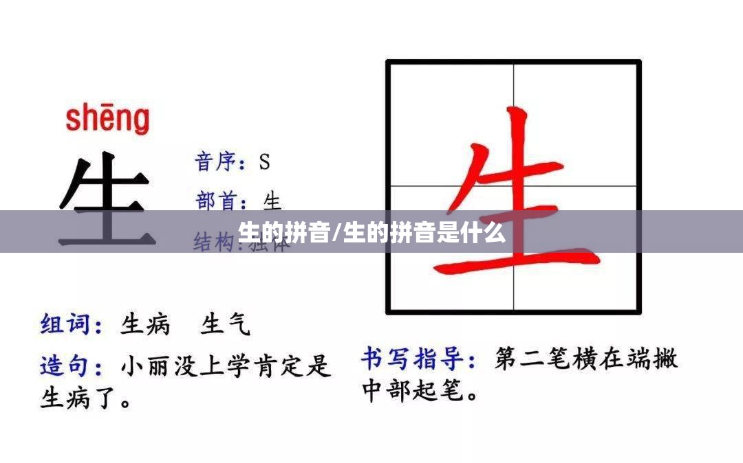 生的拼音/生的拼音是什么