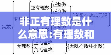 非正有理数是什么意思:有理数和无理数的定义