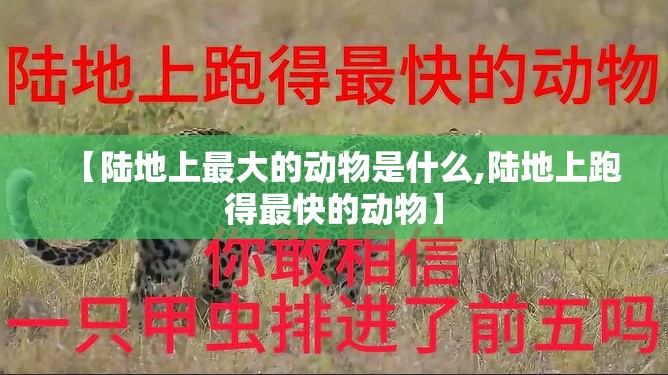 【陆地上最大的动物是什么,陆地上跑得最快的动物】