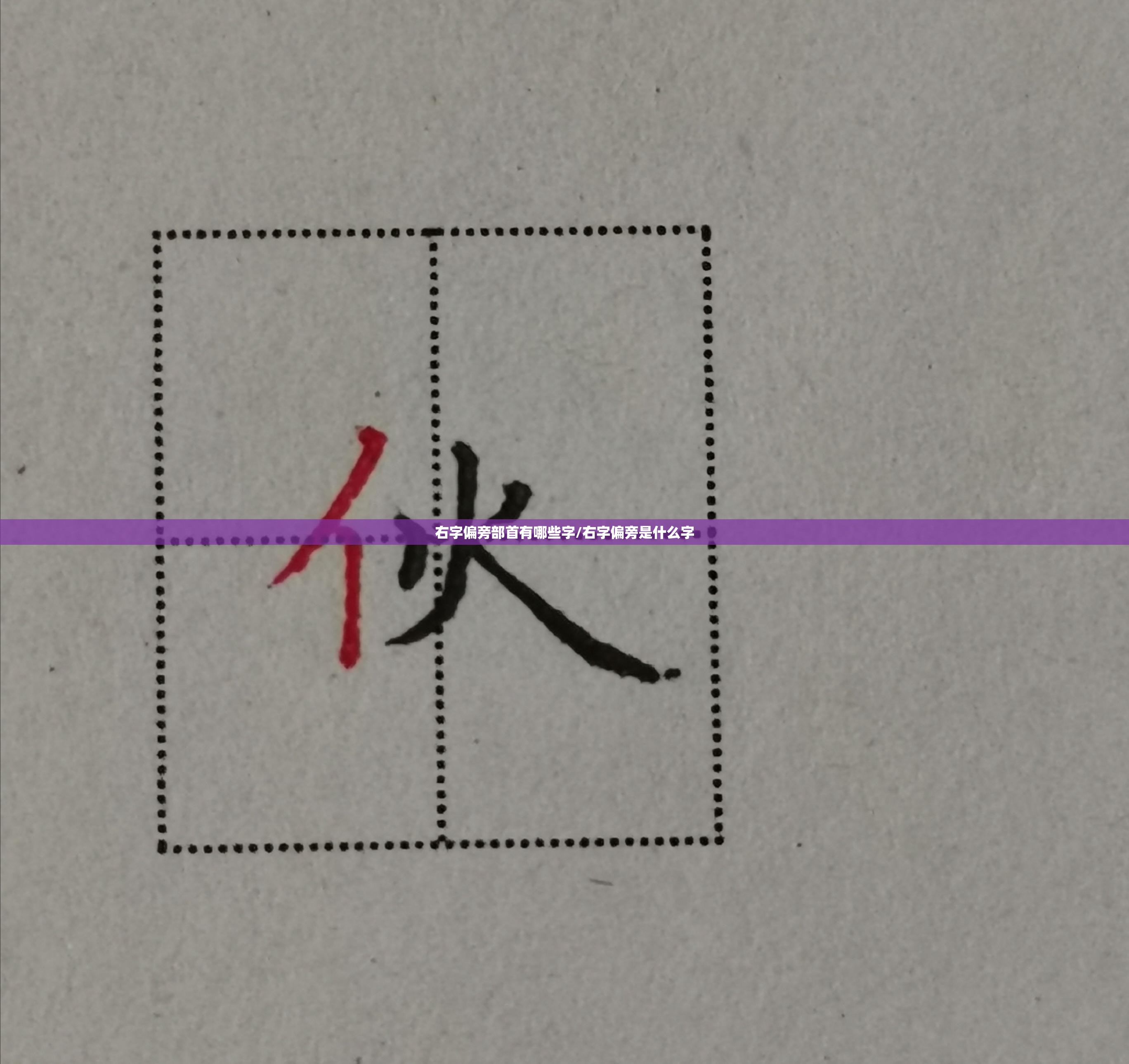 右字偏旁部首有哪些字/右字偏旁是什么字