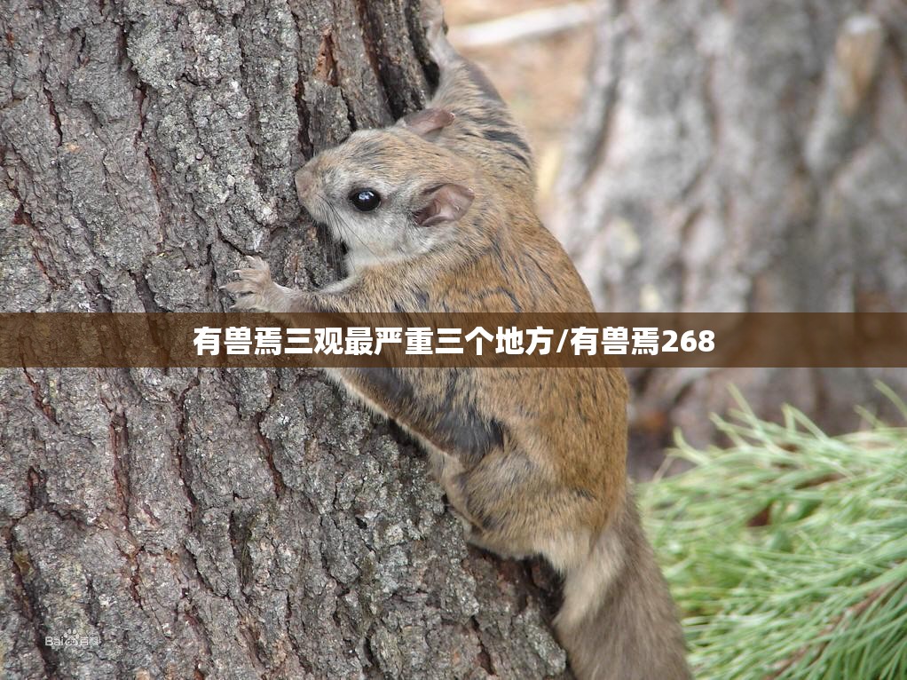 有兽焉三观最严重三个地方/有兽焉268
