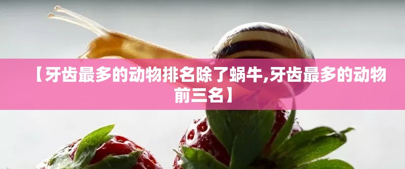 【牙齿最多的动物排名除了蜗牛,牙齿最多的动物前三名】