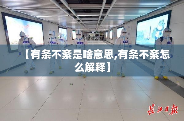 【有条不紊是啥意思,有条不紊怎么解释】