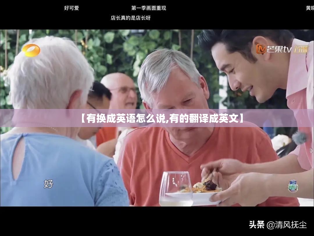 【有换成英语怎么说,有的翻译成英文】