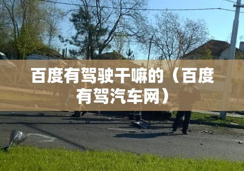 百度有驾驶干嘛的（百度有驾汽车网）