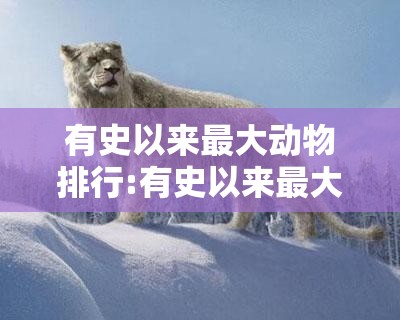 有史以来最大动物排行:有史以来最大动物排行榜