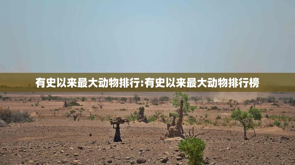 有史以来最大动物排行:有史以来最大动物排行榜