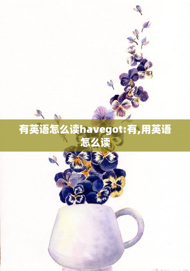 有英语怎么读havegot:有,用英语怎么读