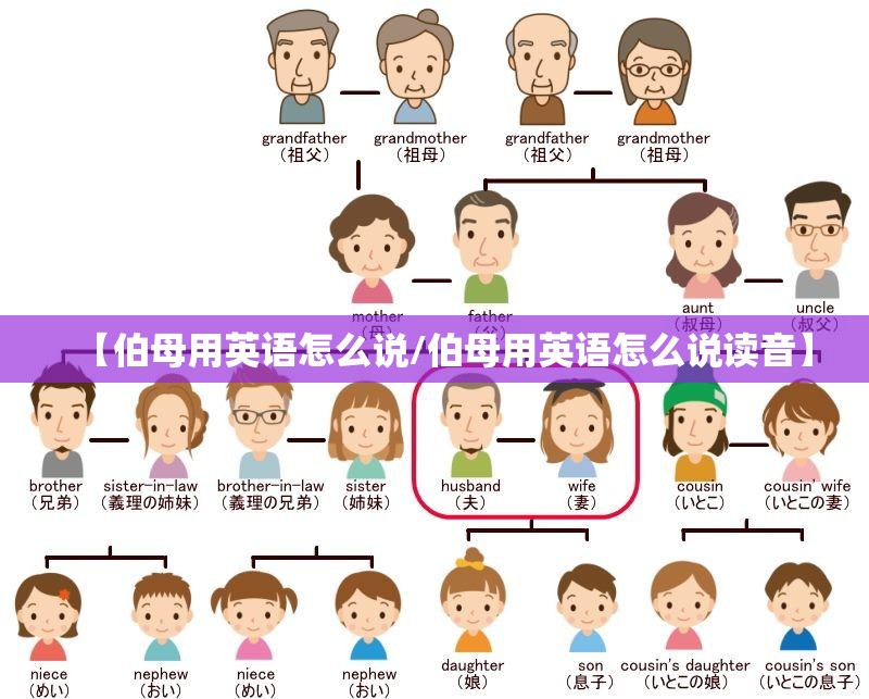 【伯母用英语怎么说/伯母用英语怎么说读音】