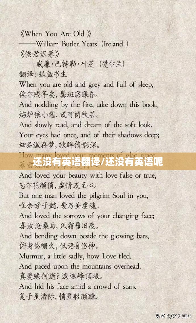 还没有英语翻译/还没有英语呢