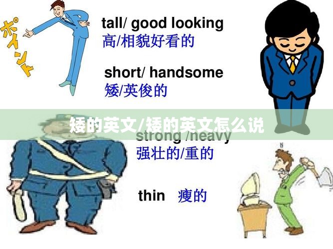 矮的英文/矮的英文怎么说