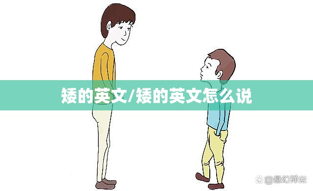 矮的英文/矮的英文怎么说