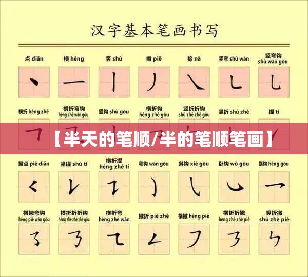 【半天的笔顺/半的笔顺笔画】