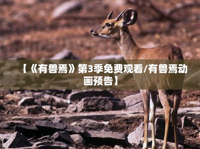 【《有兽焉》第3季免费观看/有兽焉动画预告】