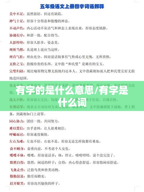 有字的是什么意思/有字是什么词