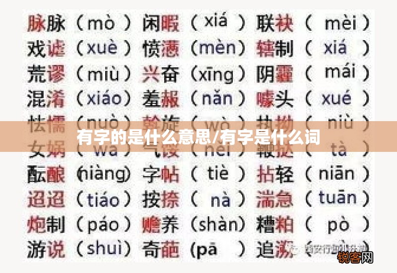 有字的是什么意思/有字是什么词