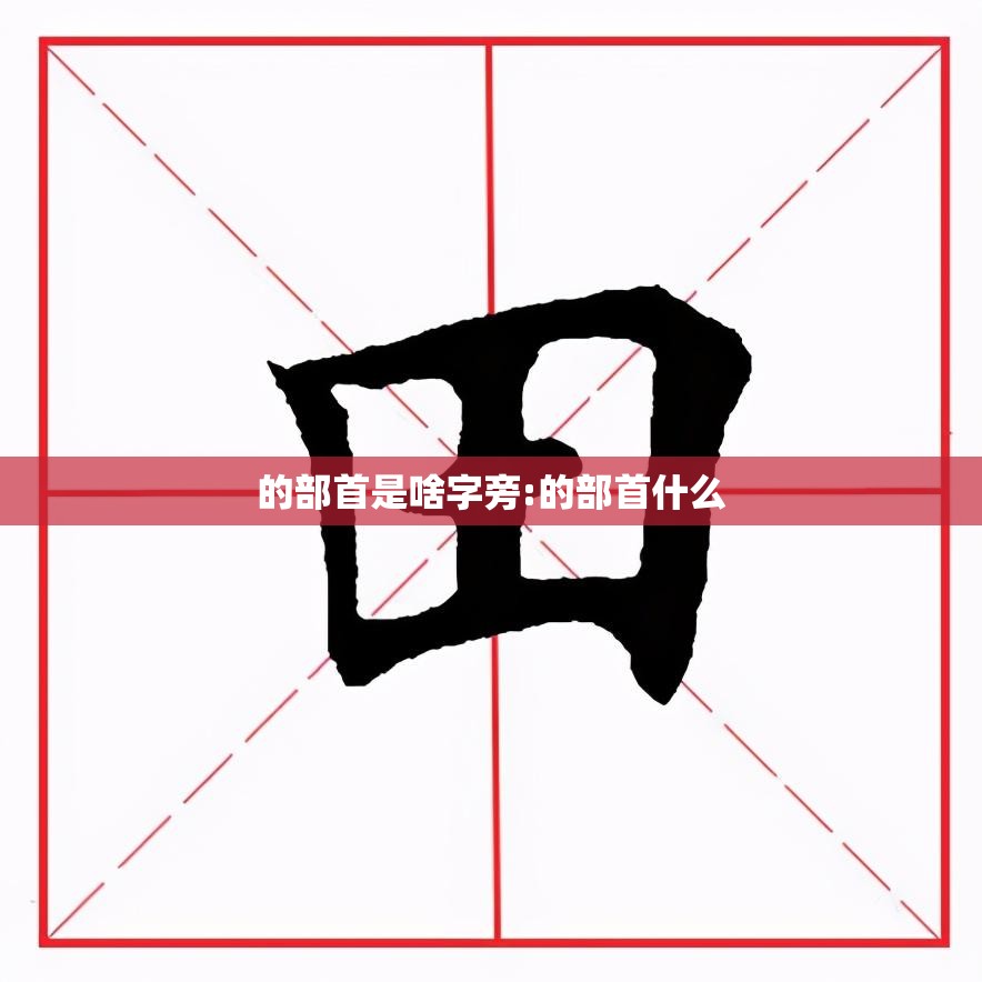 的部首是啥字旁:的部首什么