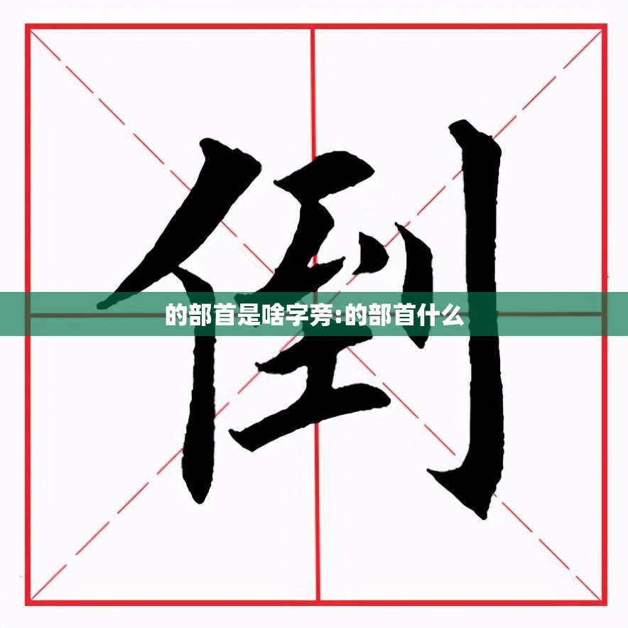 的部首是啥字旁:的部首什么