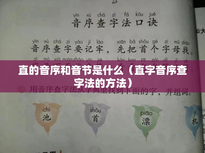 直的音序和音节是什么（直字音序查字法的方法）