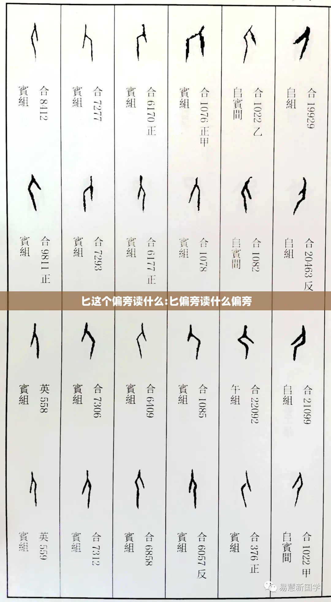 匕这个偏旁读什么:匕偏旁读什么偏旁