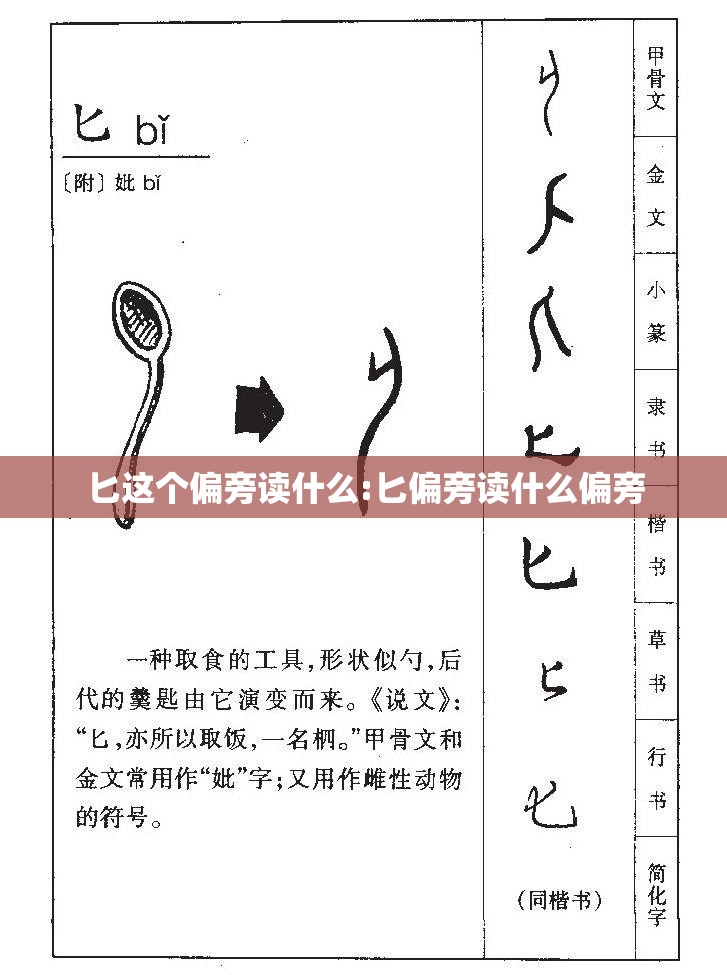 匕这个偏旁读什么:匕偏旁读什么偏旁