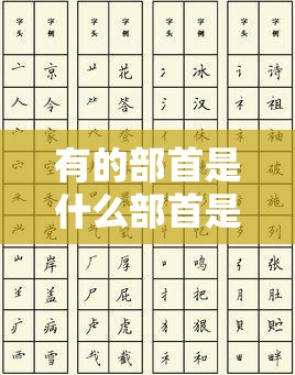 有的部首是什么部首是什么偏旁（有的部首是什么?）