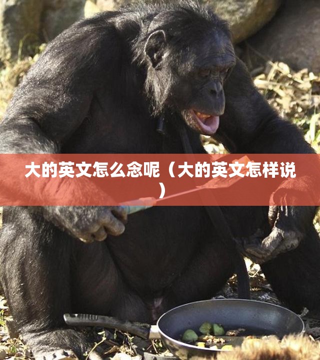 大的英文怎么念呢（大的英文怎样说）