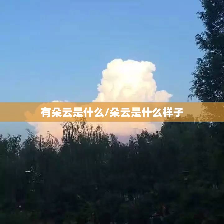 有朵云是什么/朵云是什么样子