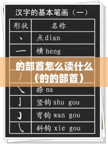 的部首怎么读什么（的的部首）
