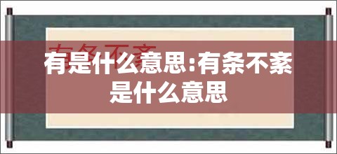 有是什么意思:有条不紊是什么意思