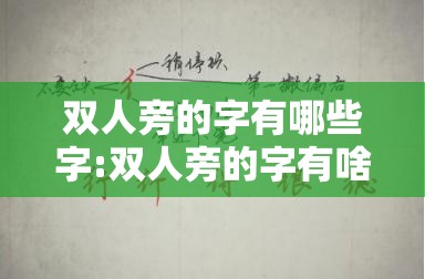 双人旁的字有哪些字:双人旁的字有啥?