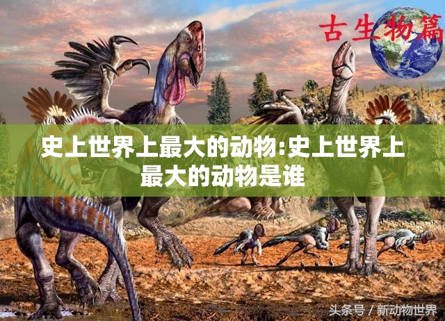 史上世界上最大的动物:史上世界上最大的动物是谁