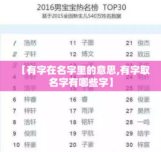 【有字在名字里的意思,有字取名字有哪些字】