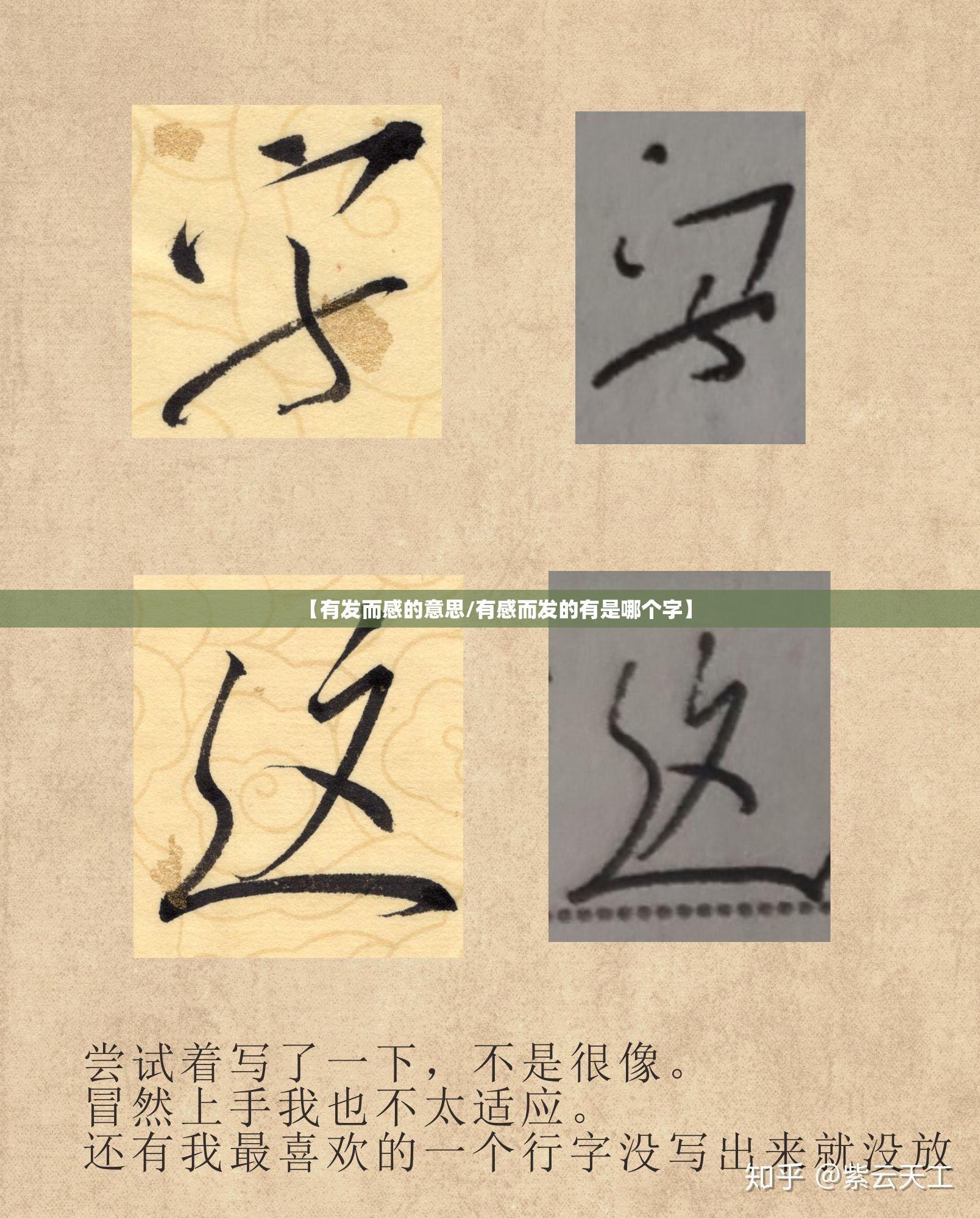 【有发而感的意思/有感而发的有是哪个字】
