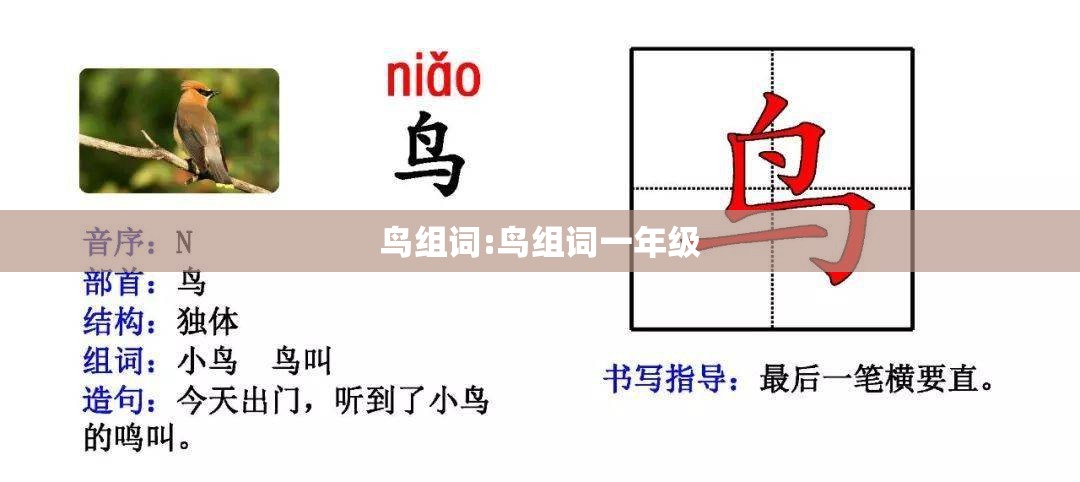 鸟组词:鸟组词一年级