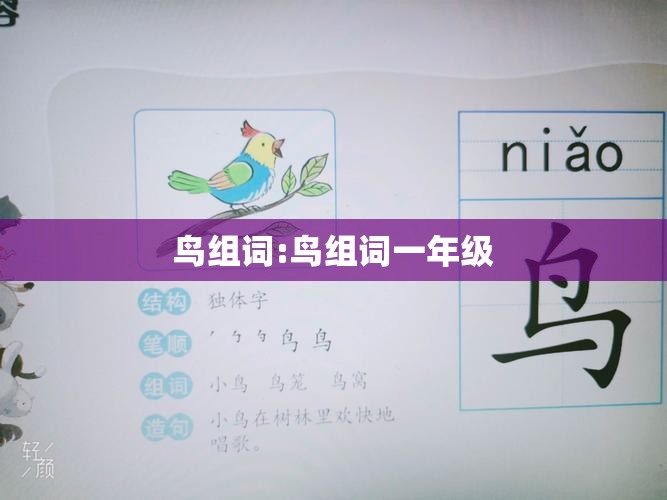 鸟组词:鸟组词一年级
