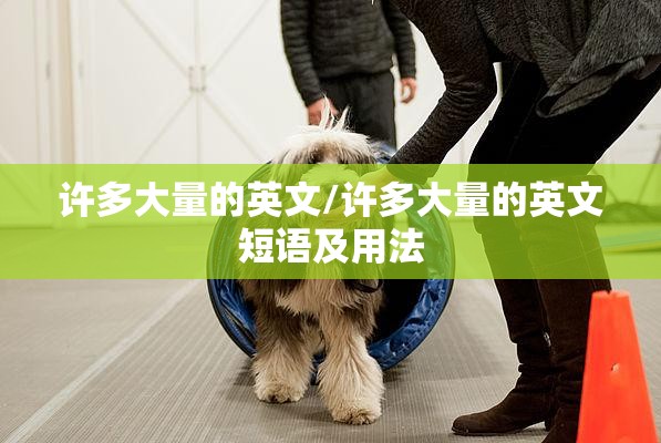 许多大量的英文/许多大量的英文短语及用法