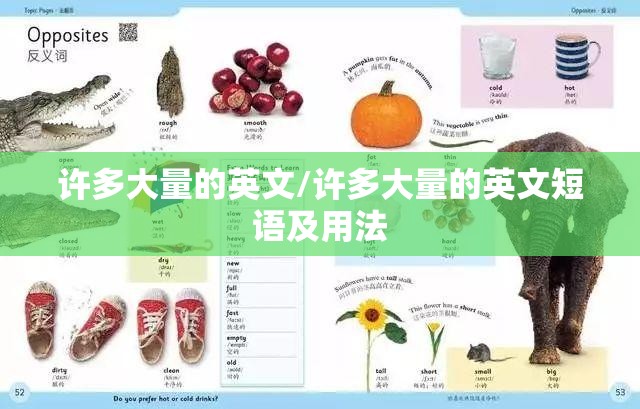 许多大量的英文/许多大量的英文短语及用法