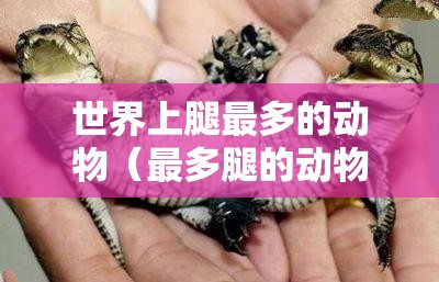 世界上腿最多的动物（最多腿的动物是什么动物）